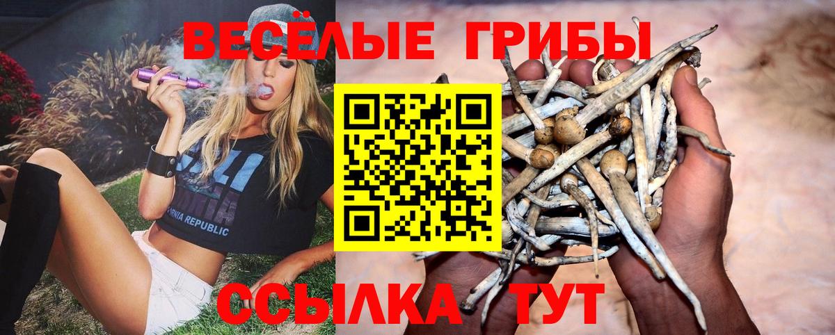 Псилоцибиновые грибы Psilocybine cubensis  Вход с VPN  Когалым  Псилоцибиновые грибы Magic Shrooms 